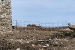 IMG_20260405_111426-scaled