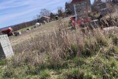 IMG_20260405_111756-scaled