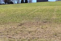 IMG_20260405_114642-scaled